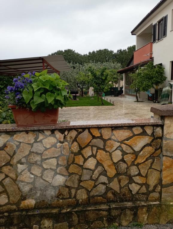 Fotografie z fotogalerie ubytování Apartments Grahovac v destinaci Umag