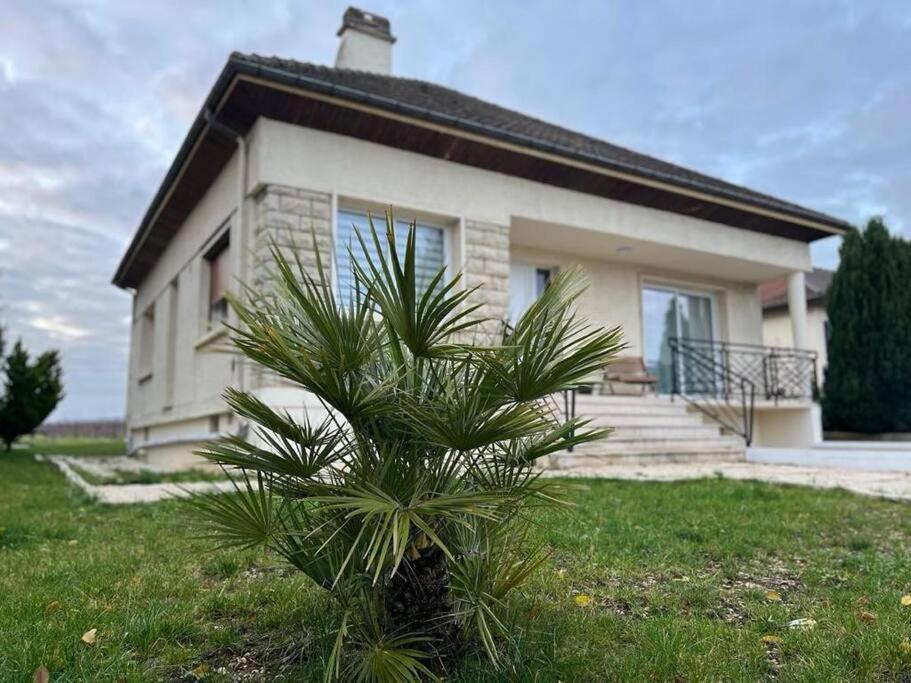 una pequeña palmera frente a una casa en Douceur champenoise en Dizy