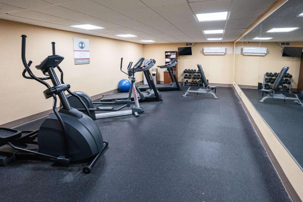 Palestra o centro fitness di Clarion Hotel Detroit Metro Airport