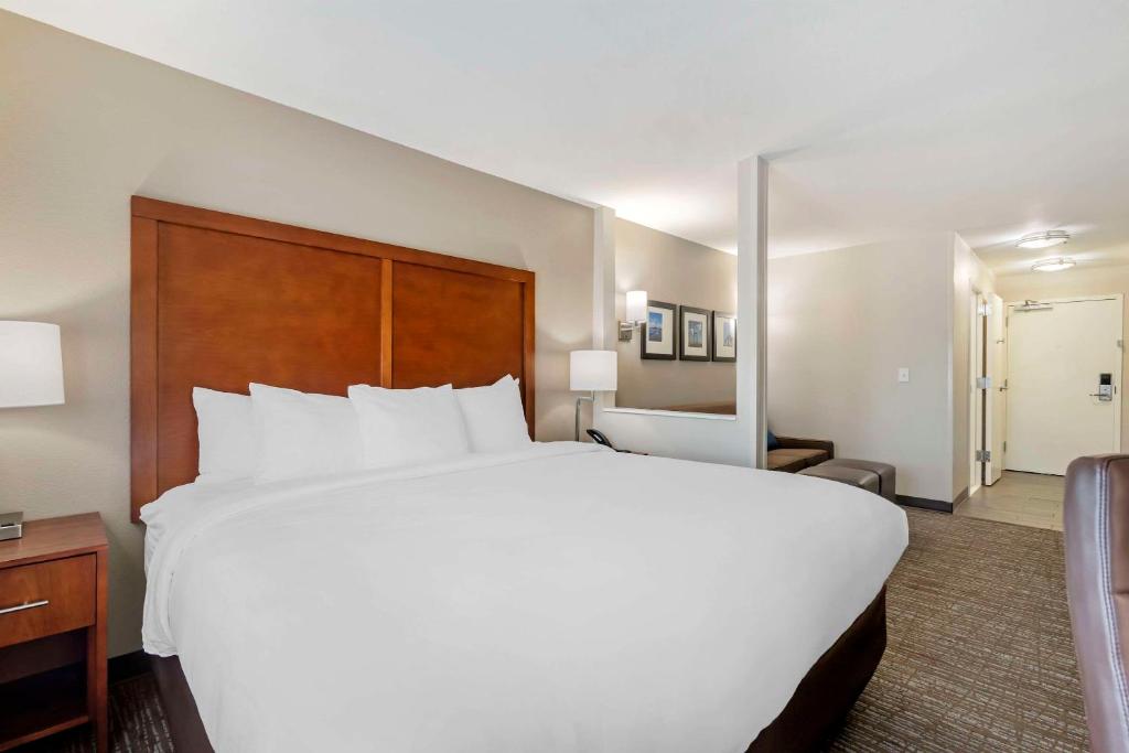 Comfort Inn & Suites Brunswick I-95 - Suite King - Non Fumatori