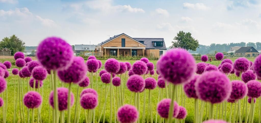 B&B de Cley في نوردفيك: حقل من الزهور الأرجوانية أمام المنزل