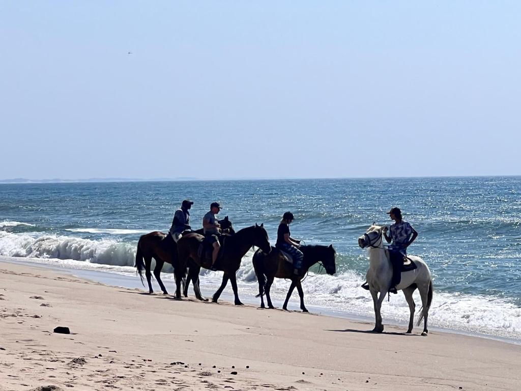 a group of people riding horses on the beach at Sunbonani Lodge in Maputo