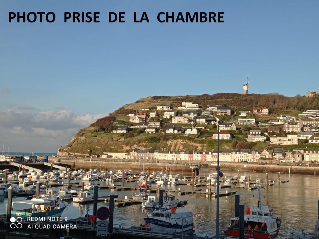 Un montón de barcos atracados en un puerto con una colina en Les Goélands maison avec vue sur port et falaise, en Fécamp