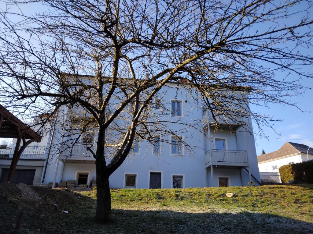 Gmunden zentrale Lage في غموندين: مبنى ابيض امامه شجرة