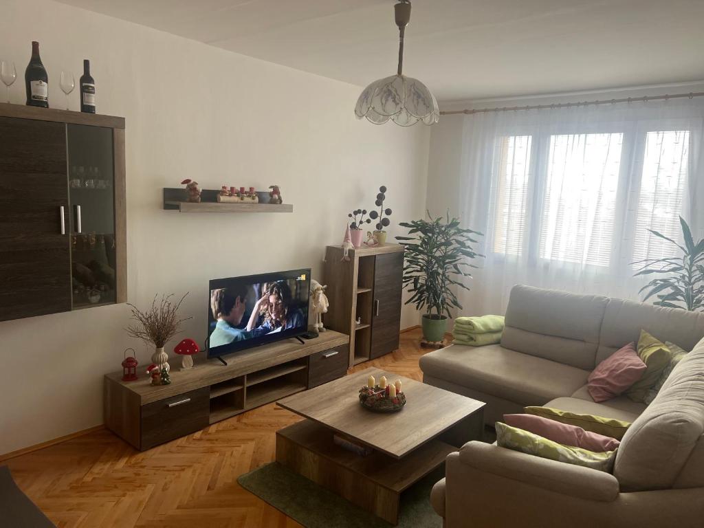uma sala de estar com um sofá e uma televisão de ecrã plano em Rekreační byt 3+1 em Železná Ruda