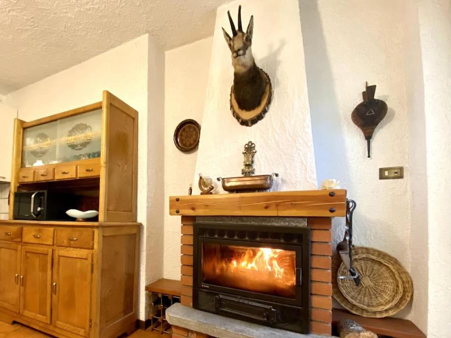 a living room with a fireplace and a turkey on the wall at deer house in Savoulx