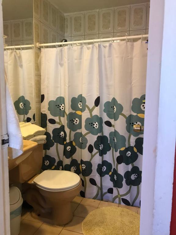 康康Hostal Blanca Estela的带马桶和浴帘的浴室