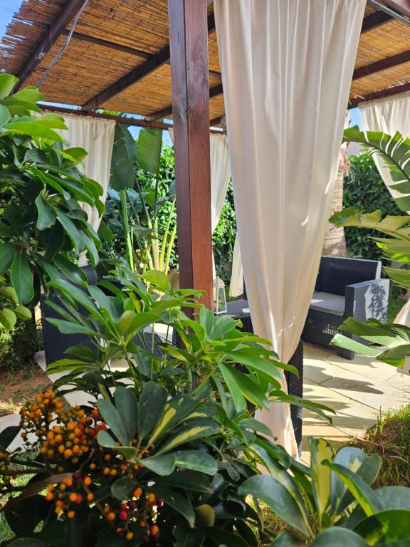 Zahrada ubytování Dimora Sole del Sud