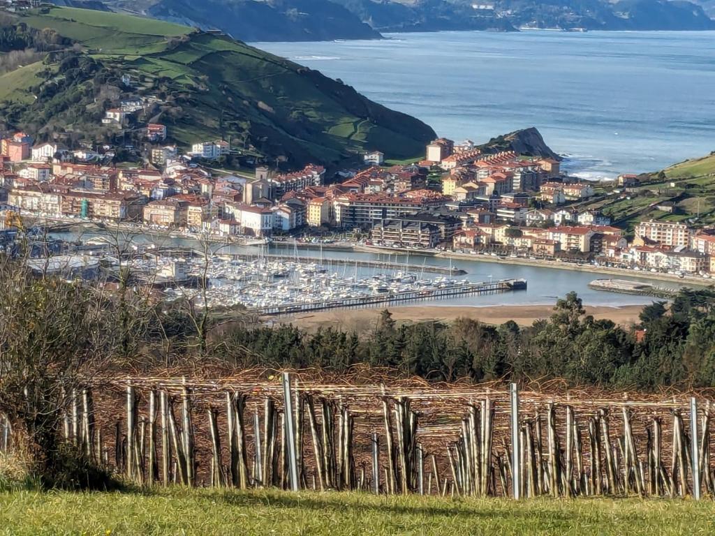 a view of a harbor from a hill with trees at Zumaia Basque Alai in Zumaia