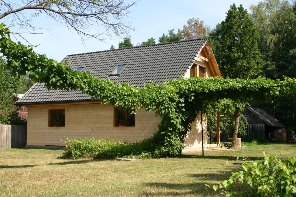 a house with a bunch of vines growing on it at Agroturystyka Łazory nad Tanwią 