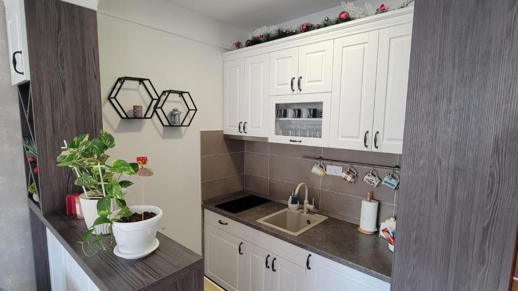Kuchyň nebo kuchyňský kout v ubytování Goldview Apartmani