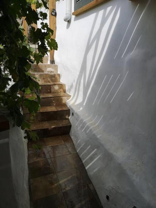 Fotografie z fotogalerie ubytování Souterrain für max 2 P., Bad, Außenküche, Garten v destinaci Güimar