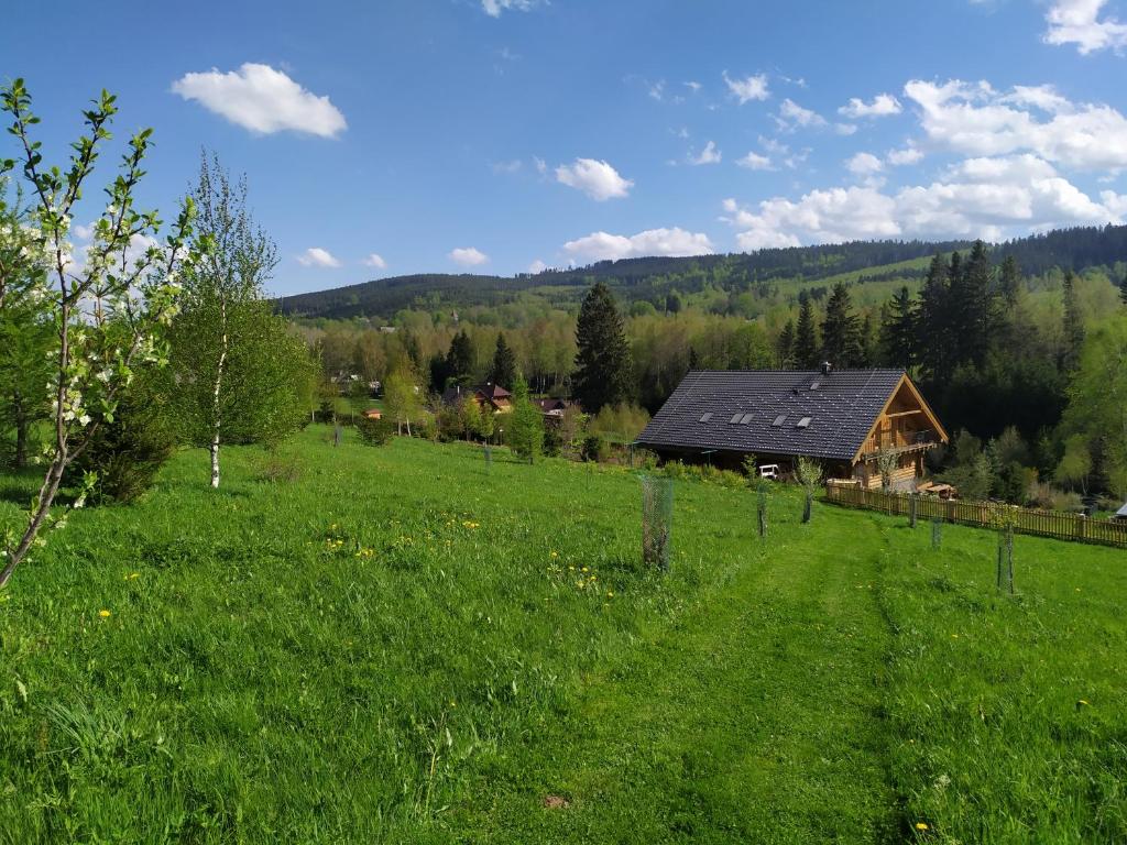 a barn in the middle of a green field at Srub Javorná - apartmány Šumava in Javorná