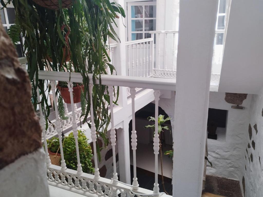 a white balcony with potted plants on it at Holy House in Santa Brígida