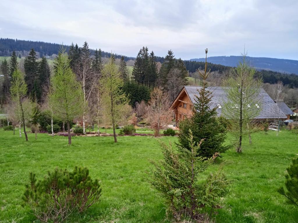 Příroda nedaleko apartmánu