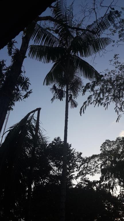 Fotografie z fotogalerie ubytování Los Delfines Lodge v destinaci Puerto Viejo