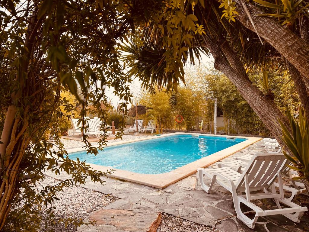 a swimming pool with two chairs and a tree at Casa Rico Frade Garden in São Pedro do Corval