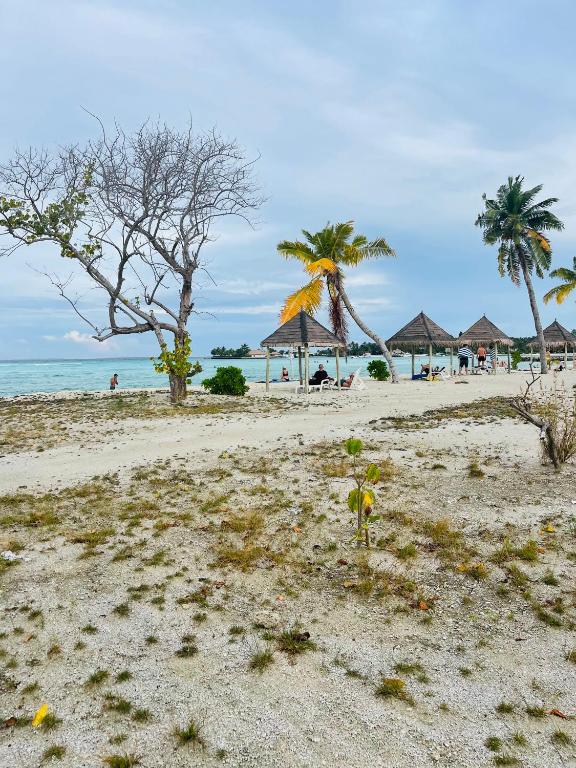 La Isla Tropica - View 11