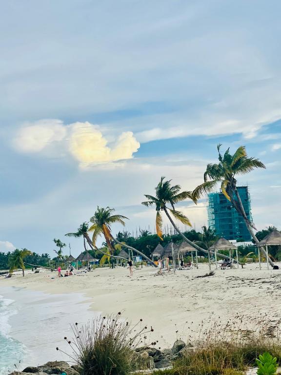 La Isla Tropica - View 8