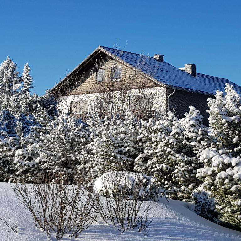 Pension Hubertus - 1