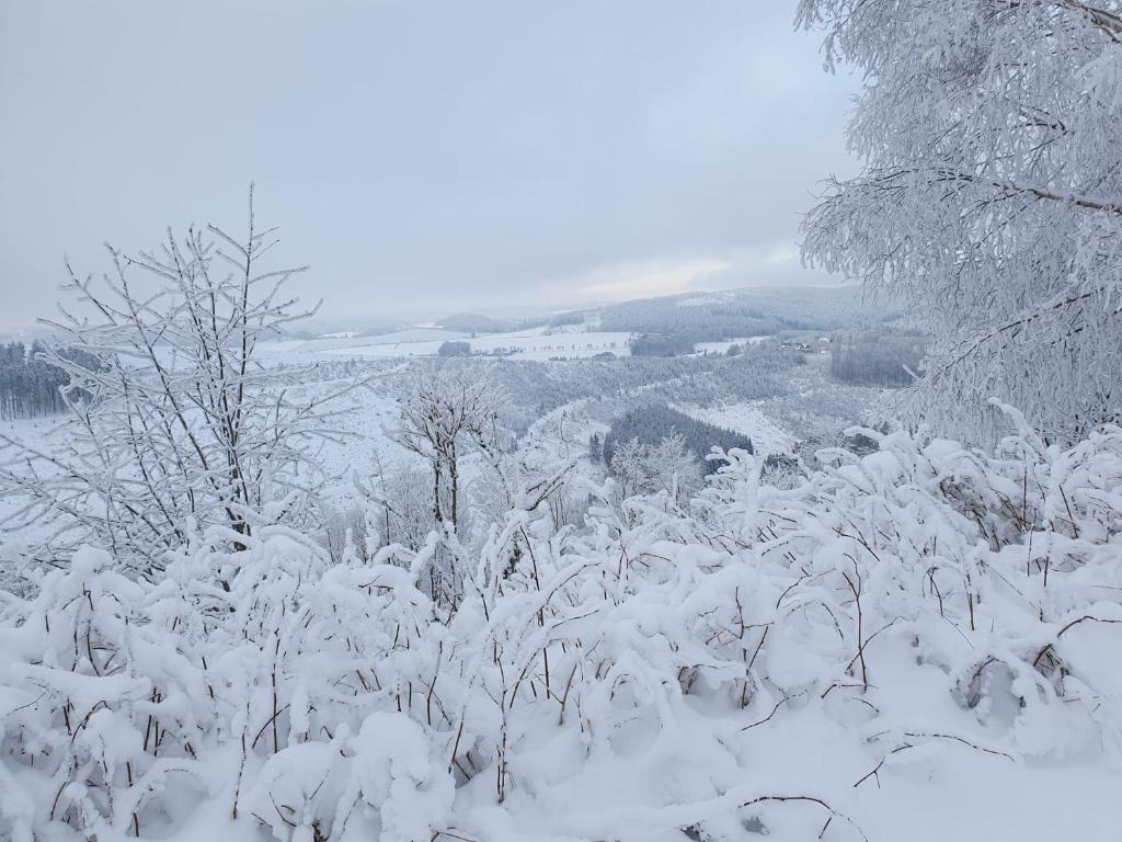 Pension Hubertus - 9