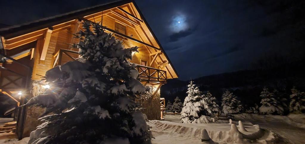 een met sneeuw bedekte dennenboom voor een hut bij Gościniec Leszczyniec in Stronie Śląskie