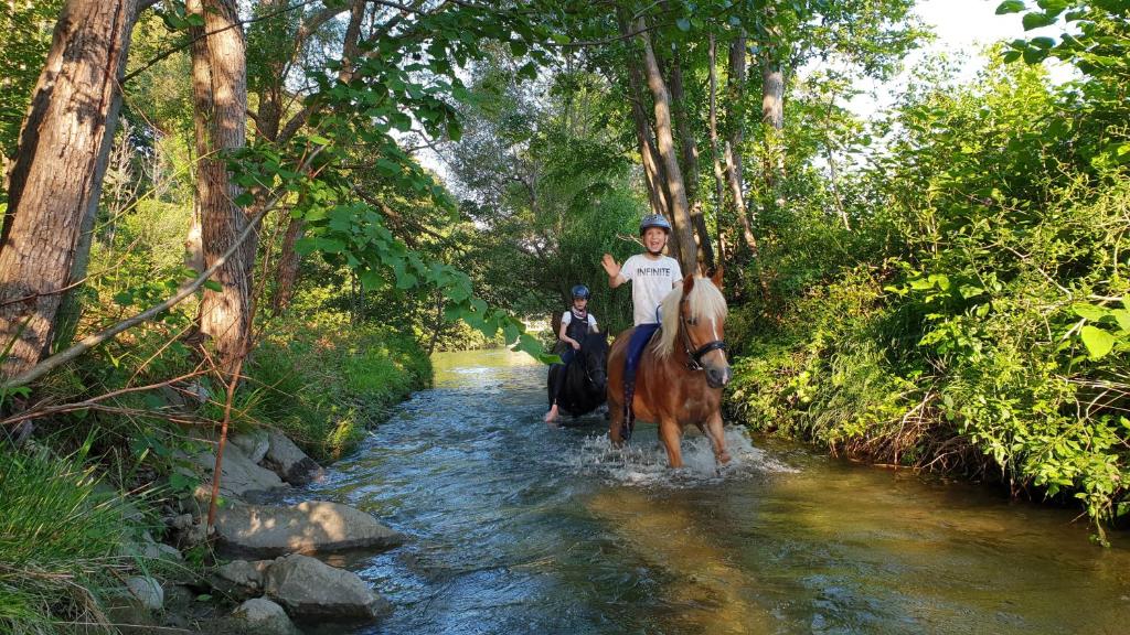 un homme faisant de l'équitation à travers une rivière dans l'établissement The Cottage, à Reichenau