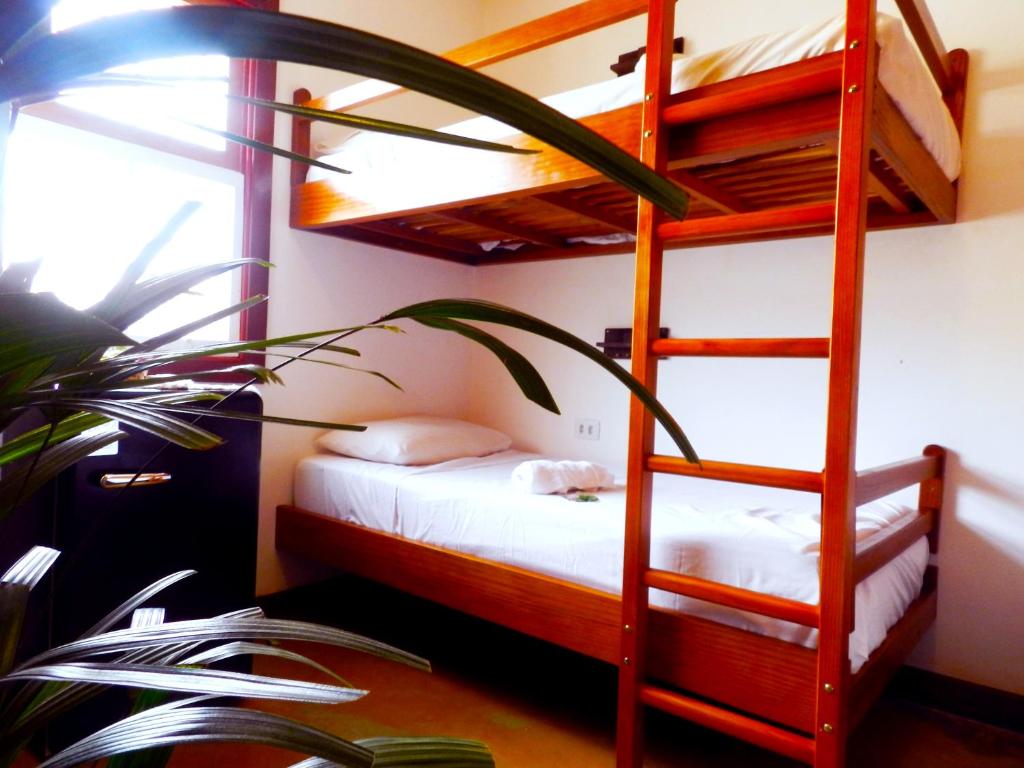 een kamer met een stapelbed en een ladder bij Atlantic Hospedagem in São Sebastião