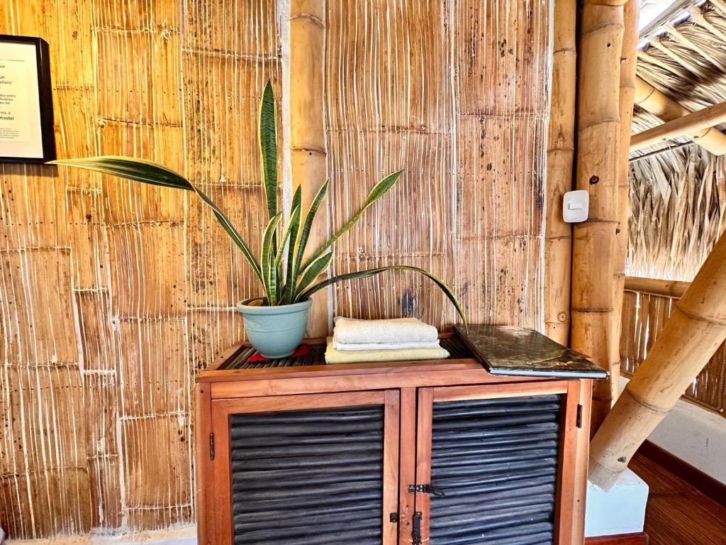 Gambar di galeri bagi Bella Flor Hostel Palomino di Palomino