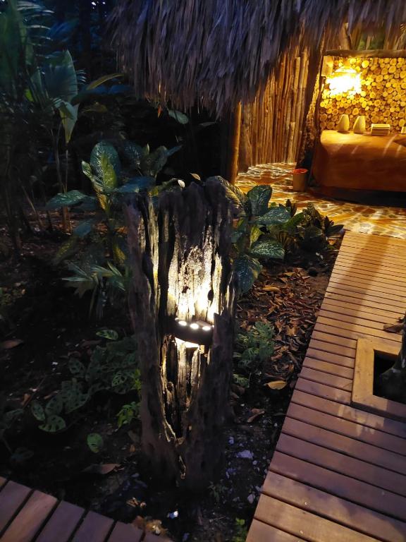 Zahrada ubytování Hotel Boutique Maitta en Doradal Antioquia