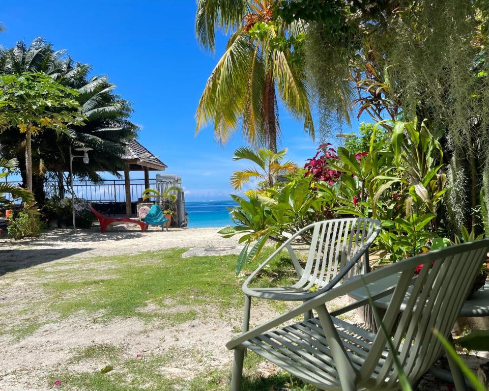 un banco sentado en la hierba junto al océano en Huahine Beach House en Fare