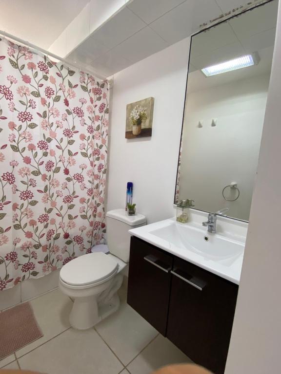 een badkamer met een toilet, een wastafel en een spiegel bij Bella vista, disfrútala! in Petorca