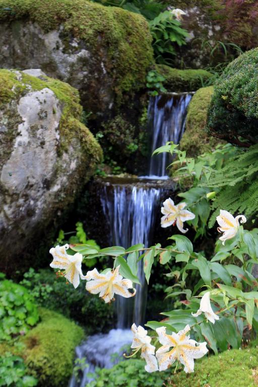 a garden with white flowers in front of a waterfall at Teiensaryo Yamanakako in Yamanakako