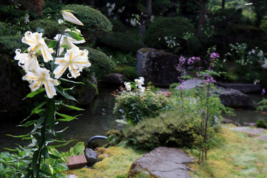 a garden with white flowers and a pond at Teiensaryo Yamanakako in Yamanakako
