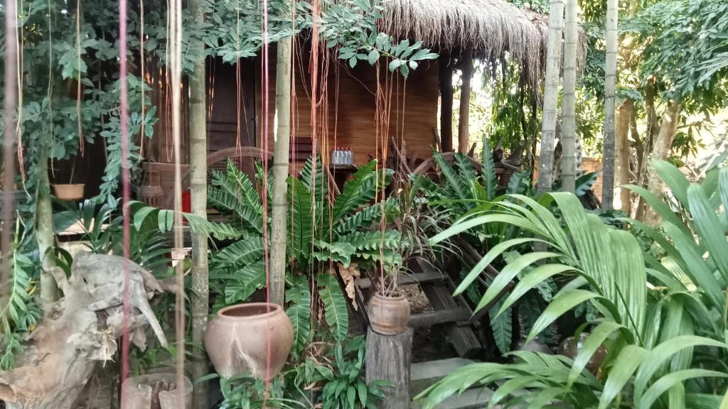 Kakrona Pouk Homestay في سيام ريب: حديقة بها منزل من الخيزران مع النباتات