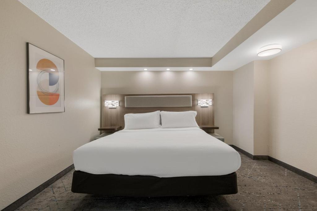 Holiday Inn Express Hotels- Hampton by IHG - 一卧室特大号床套房