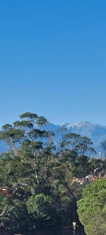 un arbre au sommet d'une colline avec des montagnes en arrière-plan dans l'établissement La goélette, à Saint-Cyprien