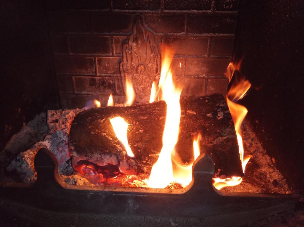a fire in a brick oven with flames at Domek Gniewoszówka in Rymanów