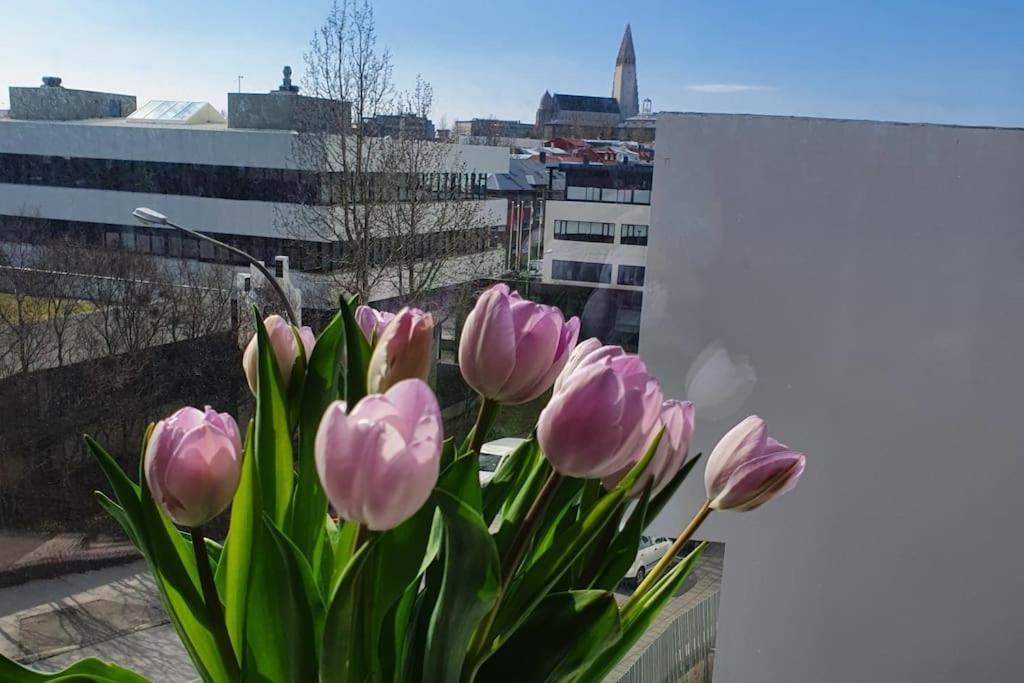 Um monte de tulipas cor-de-rosa sentadas no peitoril da janela. em Lovely modern 1-bedroom apartment, free parking em Reykjavík