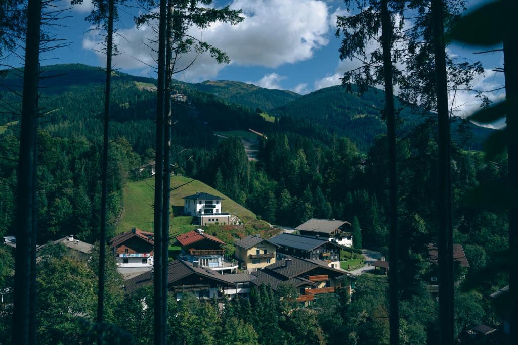 Příroda nedaleko apartmánu