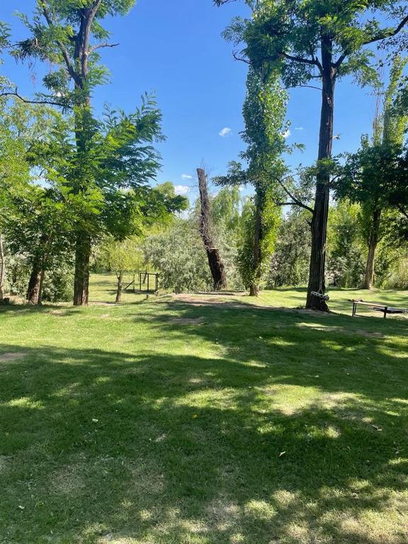 Un jardín fuera de La Casita del Bosque