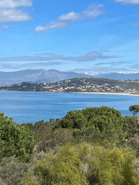 vista su una grande cassa d'acqua con alberi di Loc a Machja Fiurita 1 ET 2 a Pietrosella