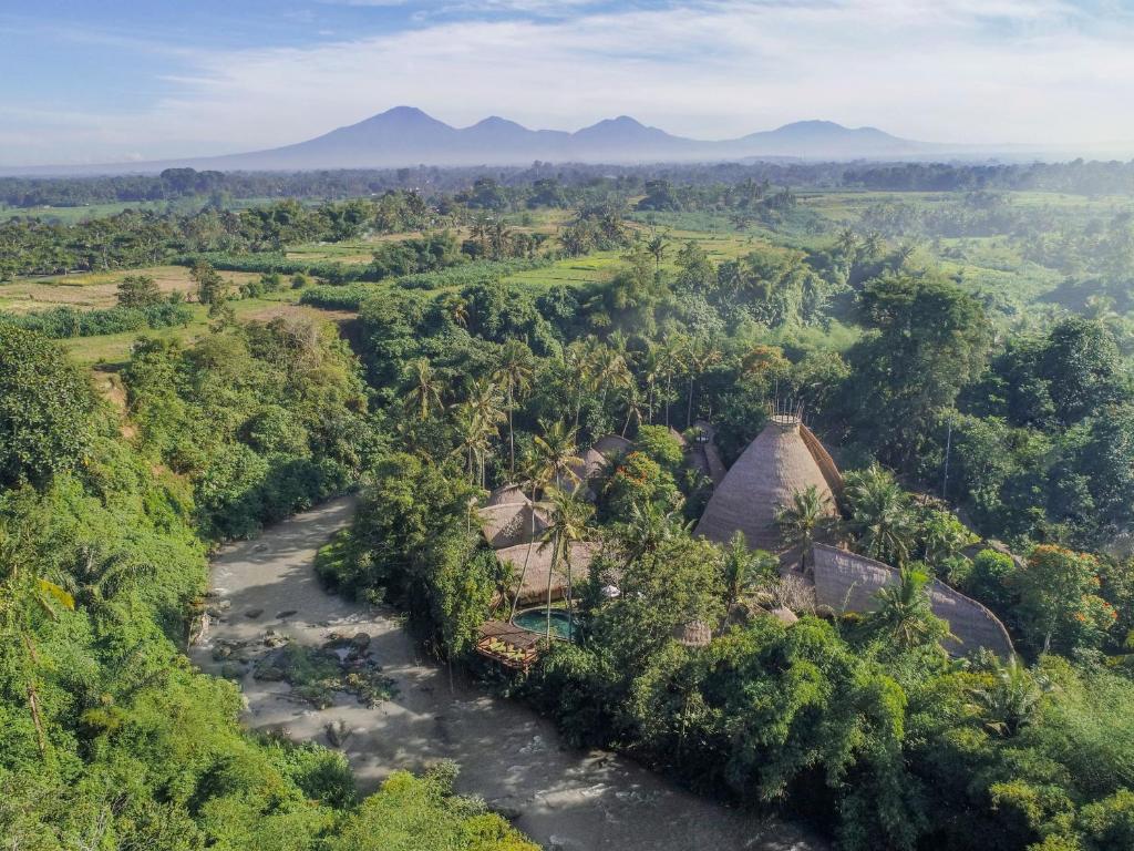 ウブドにあるFivelements Retreat Baliの山を背景としたジャングルの空中