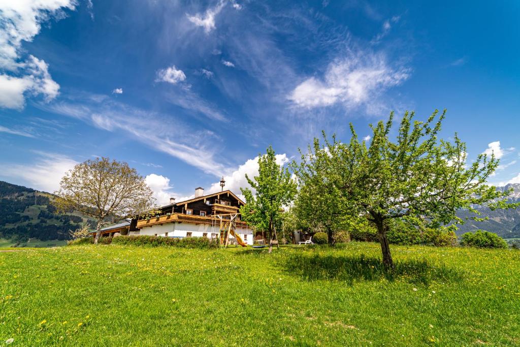 una casa su una collina con un albero in un campo di Haslinghof a Saalfelden am Steinernen Meer