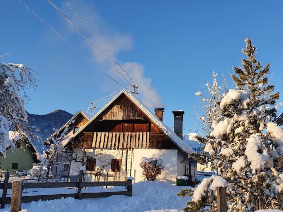 une maison dans la neige avec un sapin de Noël dans l'établissement URige Hütte, à Maria Elend