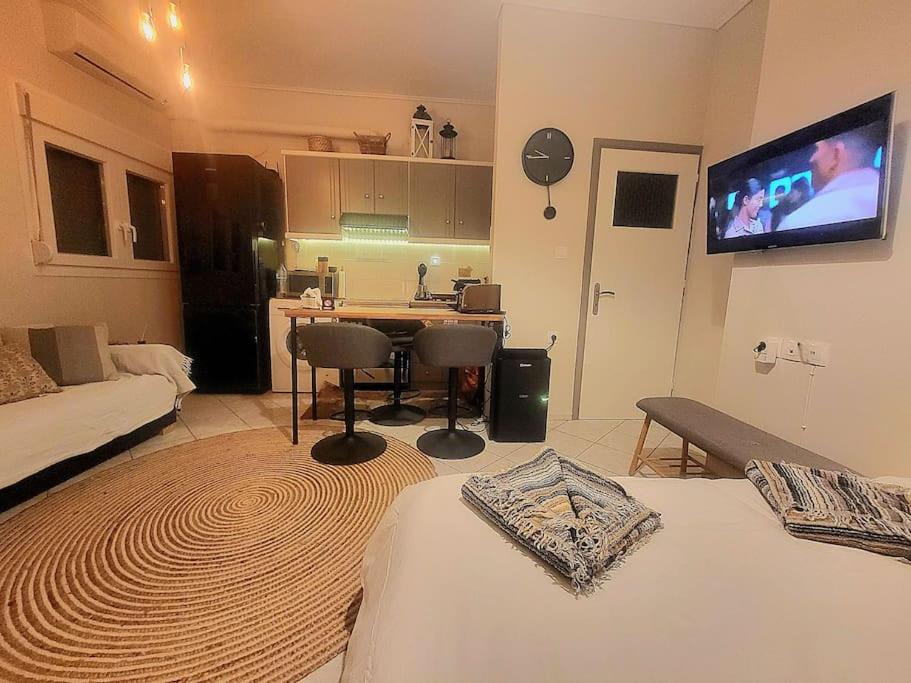 Cozy ground floor apartment in the downtown