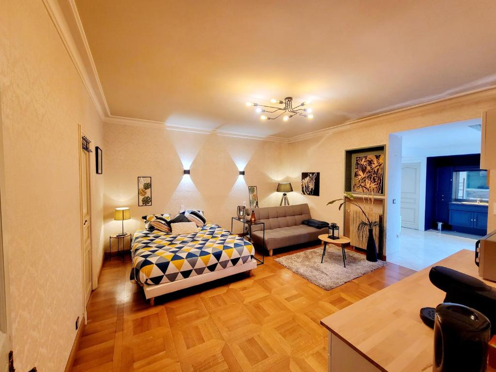 1 dormitorio con 1 cama y sala de estar en Superbe Appartement Calme et Spacieux, en Graulhet
