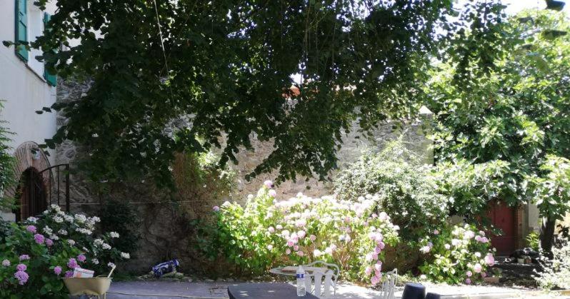 un jardin avec des fleurs et un arbre ainsi qu'un bâtiment dans l'établissement Gîte de charme la belle histoire, à Prades