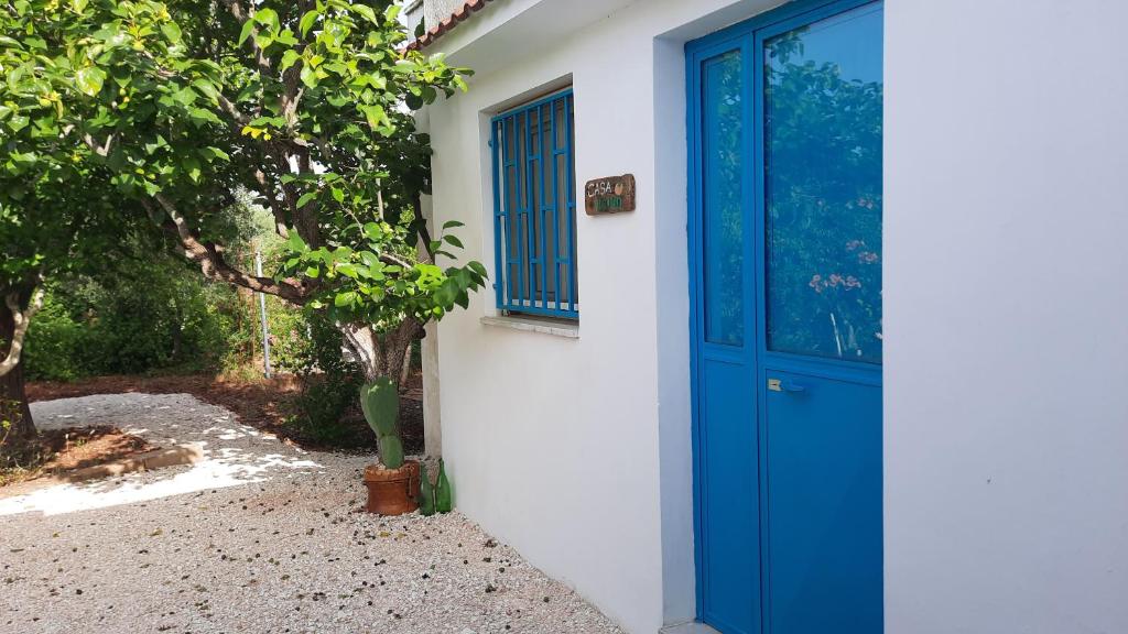 Una puerta azul en un edificio blanco con un árbol en Casa Trullo Bianco: Casa Vicino, en Ceglie Messapica