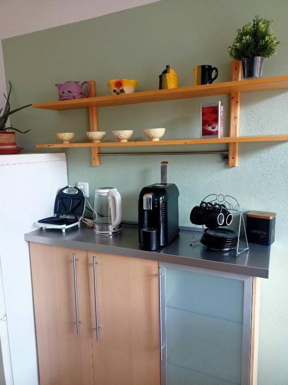 Kuchyň nebo kuchyňský kout v ubytování Na Pekárně
